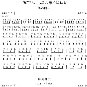 巴乌八级考级曲目 练习曲 1 5