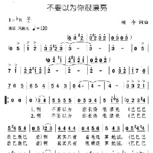 不要以为你很漂亮_通俗唱法乐谱_词曲:颂今 颂今