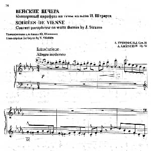 手风琴谱 | 维也纳之夜 巴扬版 Greunfield原曲 希什金改编