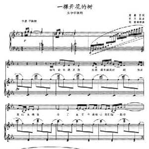 一棵开花的树_民歌简谱_词曲: 台湾 席慕蓉 张玉晶曲 刘聪配伴奏