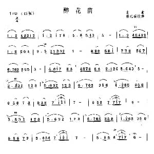 二胡谱 | 醉花荫 古曲 林光璇改编