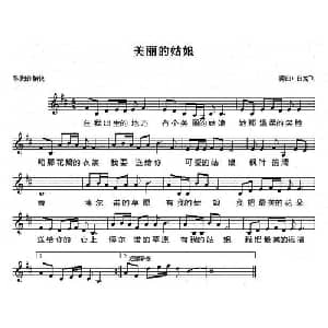 美丽的姑娘_通俗唱法乐谱_词曲:白龙飞 白龙飞