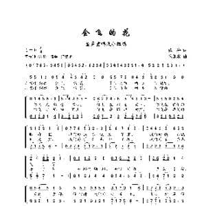 会飞的花_歌谱投稿_词曲:张海 朱加农