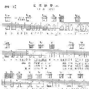 说谎的爱人 吉他谱 王杰