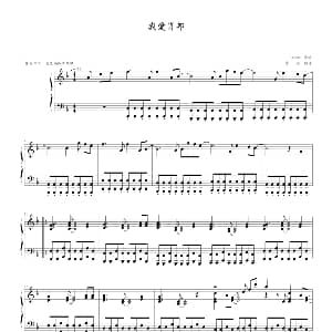 我爱肖邦 钢琴谱 寒风 制谱