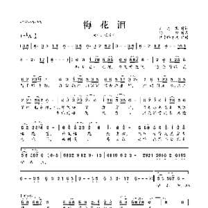 梅花泪_歌曲简谱_词曲:刘海东 冯丹