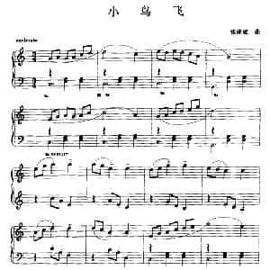 小鸟飞 钢琴谱 张能斌
