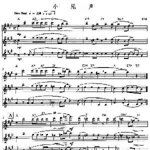 长笛曲谱 | 小尾声 三重奏