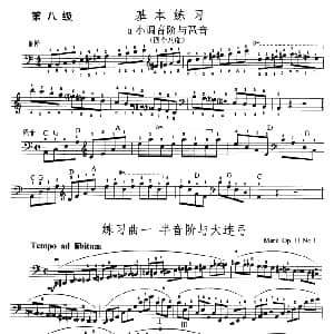 大提琴考级教程 第八级 大提琴 刘万志