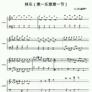 林乐 钢琴谱 张洺嘉