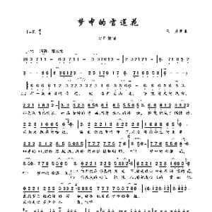 梦中的雪莲花_歌曲简谱_词曲:王帅 王帅
