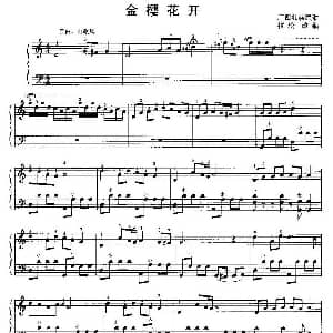 手风琴谱 | 金樱花开 植松 改编