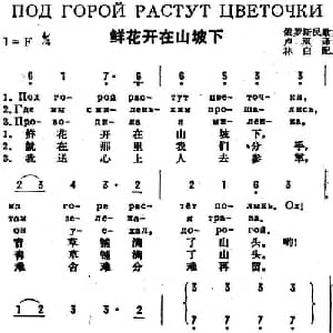 鲜花开在山坡下 前苏联 _外国歌谱_词曲:卢双译词 林白配歌
