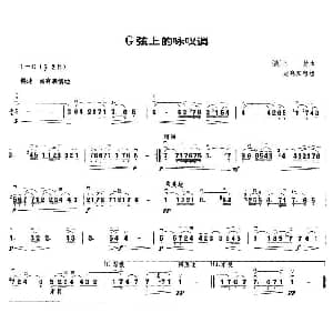 二胡谱 | G弦上的咏叹调 赵寒阳 移植