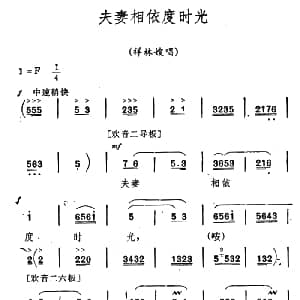 秦腔 祝福 唱腔选 夫妻相依度时光 祥林嫂唱段