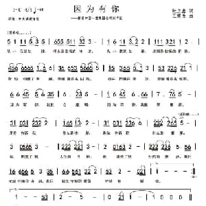 因为有你_通俗唱法乐谱_词曲:张立鑫 王慧生
