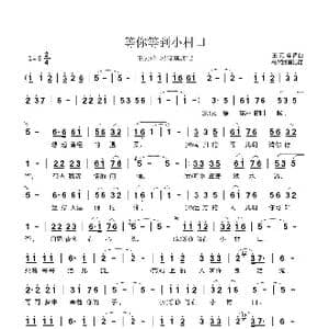 等你等在小村口_歌曲简谱_词曲:王元峰 王元峰