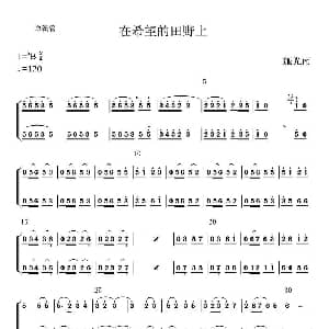 在希望的田野上 单簧管