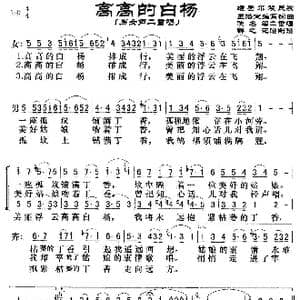 高高的白杨_歌谱投稿_词曲:王洛宾 王洛宾