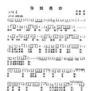 你就是你_歌曲简谱_词曲:李湘 清泉