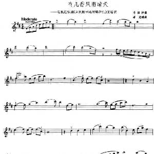 小提琴谱 | 有几番风雨晴天 电视剧 宋庆龄和他的姊妹们 主题歌 许镜清