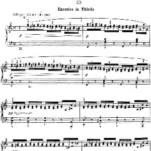 50首车尔尼Op.740钢琴手指灵巧技术练习曲 钢琴谱 车尔尼