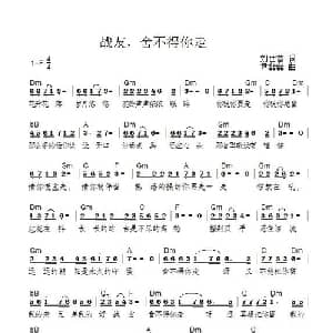 战友,舍不得你走_通俗唱法乐谱_词曲:刘世普 尹磊磊
