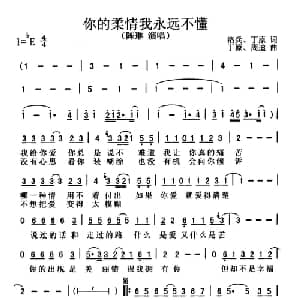 你的柔情我永远不懂_通俗唱法乐谱