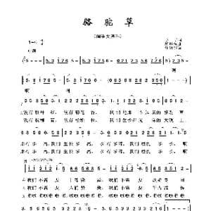 军旅歌曲100首:骆驼草_歌曲简谱_词曲:予子 胡旭东