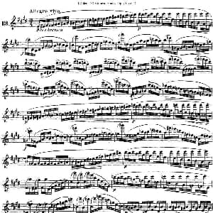 长笛曲谱 | 柯勒30首高级长笛练习曲作品75号 NO.13 Kohler 柯勒