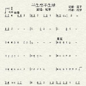 半生恋半生缘 钢琴谱 若梦 是子