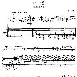 心潮 大提琴独奏 钢琴伴奏 王树