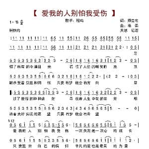 爱我的人别怕我受伤_歌曲简谱_词曲:师立宅 路勇