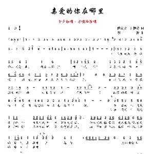 亲爱的你在哪里_歌曲简谱_词曲:陈金文,刘艳梅 李青