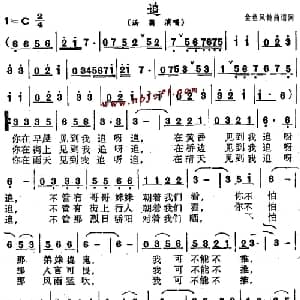 追_通俗唱法乐谱