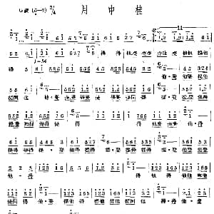 月中桂 十番音乐