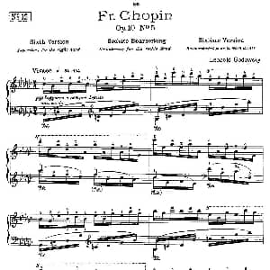 肖邦 练习曲 Fr.Chopin Op.10 No5 6 钢琴谱 Godowsky改编