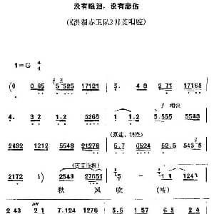 秦腔 没有眼泪 没有悲伤 洪湖赤卫队 韩英唱腔