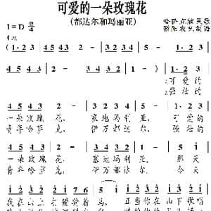 可爱的一朵玫瑰花_歌曲简谱