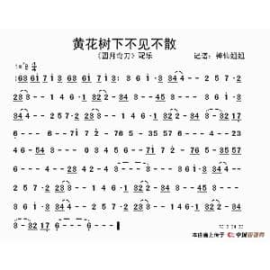 黄花树下不见不散 _歌谱投稿