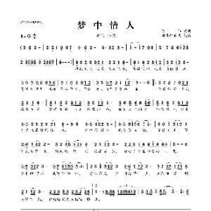 梦中情人_歌曲简谱_词曲:陈伟 陈伟