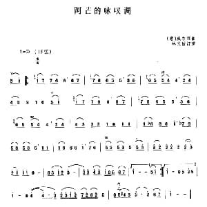 二胡谱 | 阿芒的咏叹调 意 威尔第曲 林光璇订谱