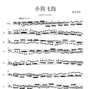 小狗飞跑_歌曲简谱_词曲: 杨会林作曲