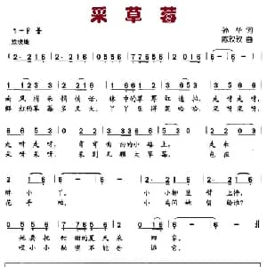 采草莓_儿歌乐谱_词曲:孙华 陈玫玫