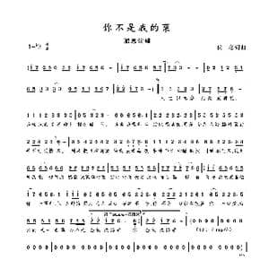 你不是我的菜_歌谱投稿_词曲:叶凌晗 李金龙