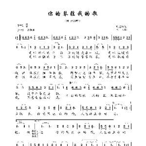 你的琴弦我的歌_歌曲简谱_词曲:周建华 王文