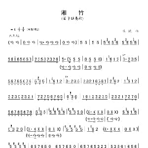笛子谱 | 湘竹 笛子独奏 张楠
