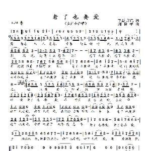 老了也要爱_歌曲简谱_词曲:王磊 言己 刘林平