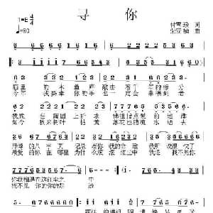 寻你_通俗唱法乐谱_词曲:付雪瑗 荣亚楠