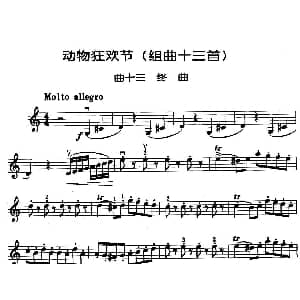 小提琴谱 | 动物狂欢节组曲 十三 终曲 法 圣桑原曲 马景林改编
